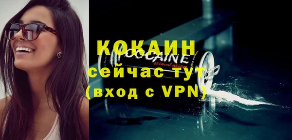 твердый Слюдянка