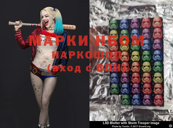 бошки Снежногорск