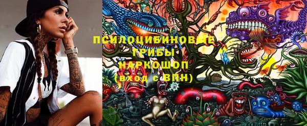 гашик Семилуки