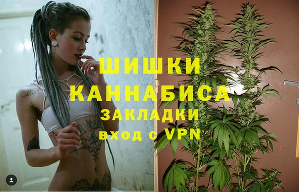 крисы Сатка