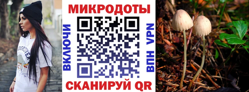 закладки  hydra вход  Галлюциногенные грибы Cubensis  Кувандык 